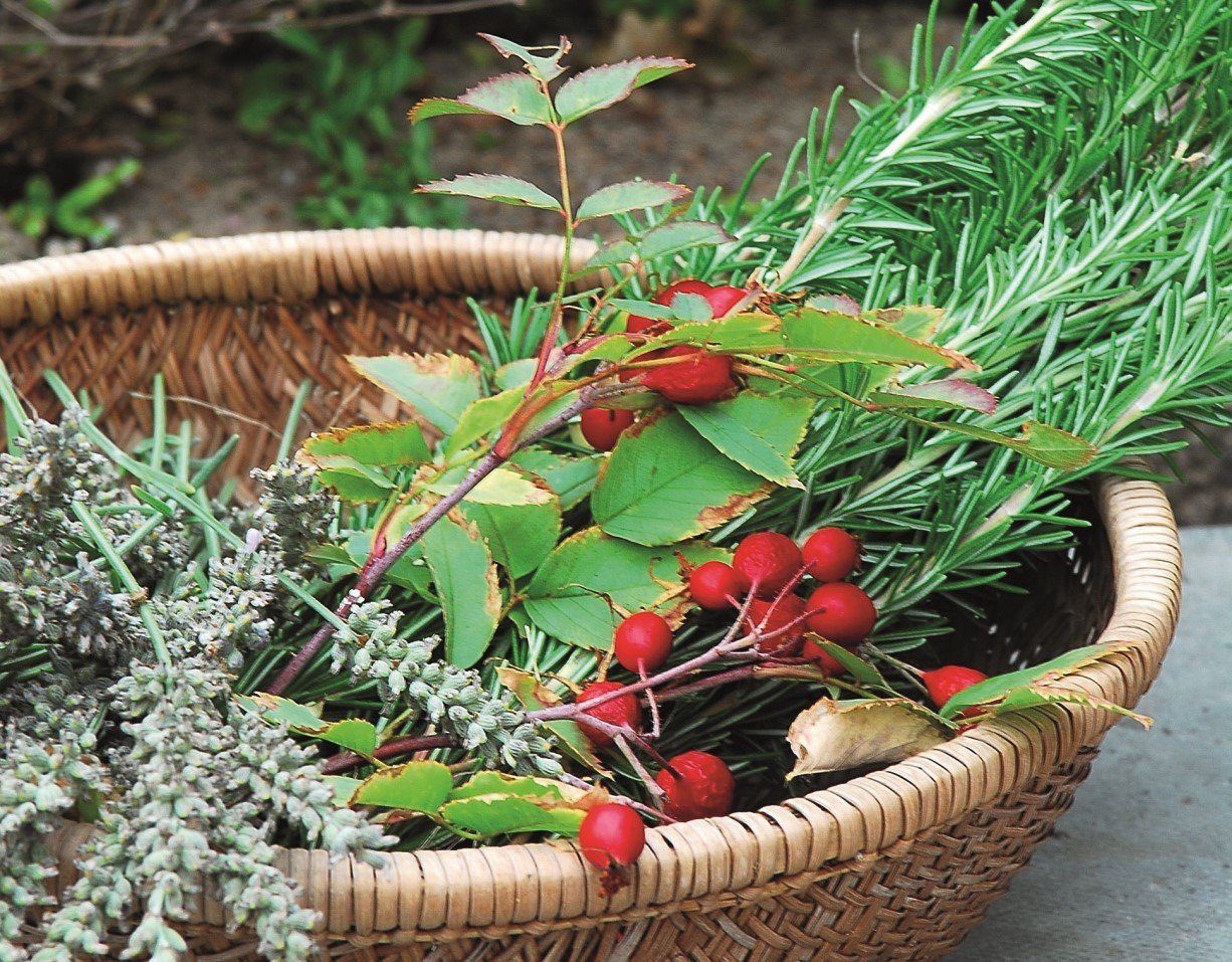 Image for Twelve Herbs of Christmas