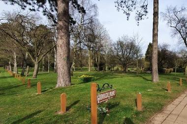 Woodland, Gardens of Remembrance, Breakspear